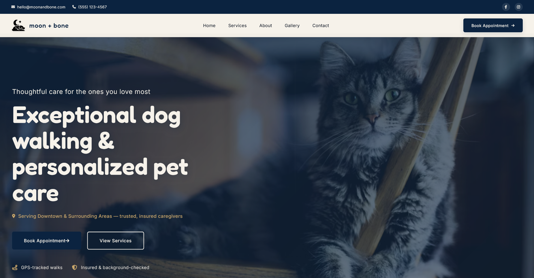 Moon + Bone website
